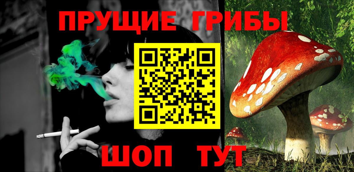 Галлюциногенные грибы Psilocybine cubensis Энгельс