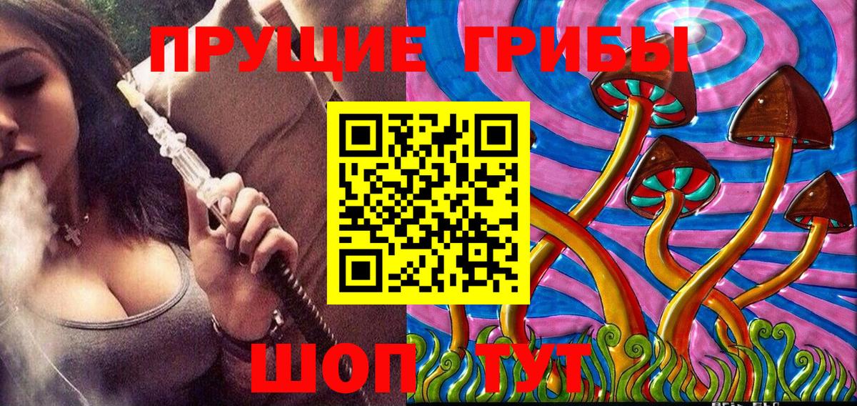 Псилоцибиновые грибы Cubensis  Псилоцибиновые грибы Psilocybine cubensis  Вход с VPN  Энгельс 